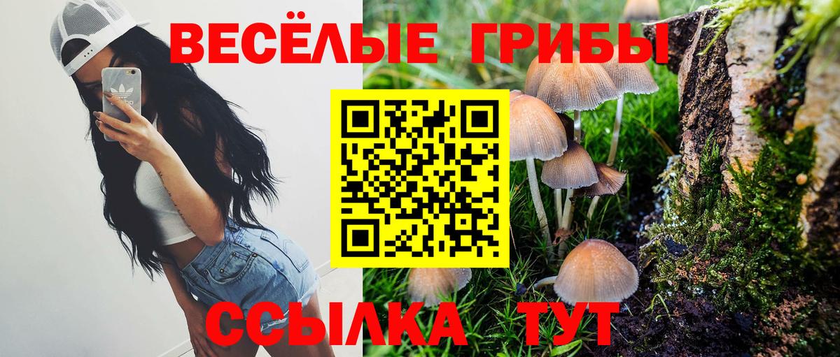 Псилоцибиновые грибы ЛСД Лабытнанги